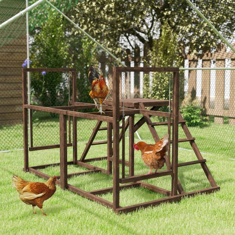 Chicken activity play set in outdoor pen with roosting chickens on ladder and platforms