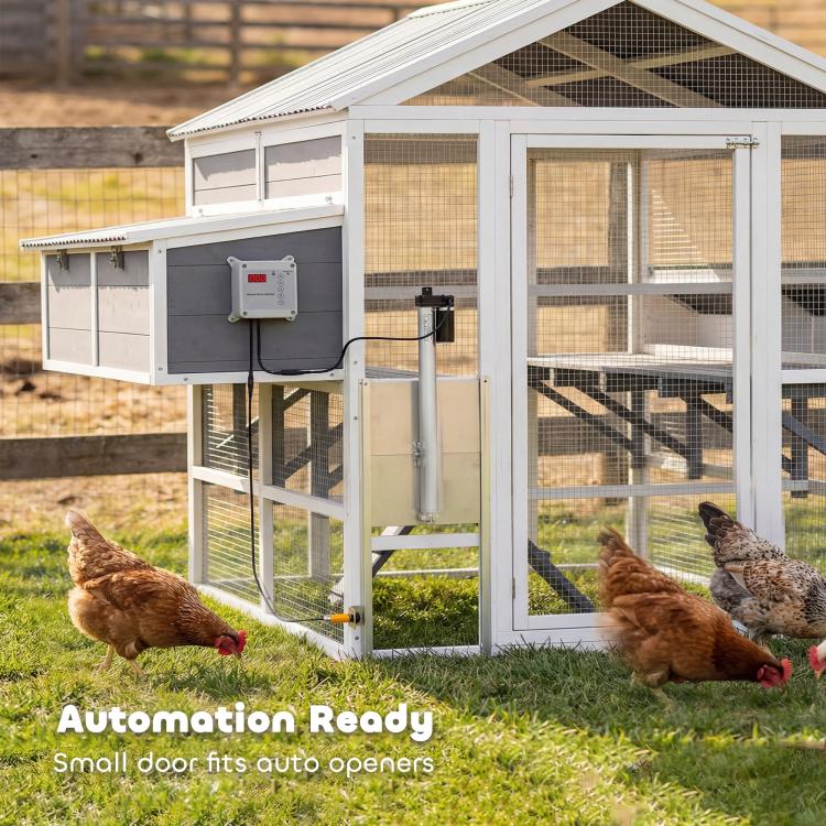 White outdoor wooden chicken coop with wire mesh panels, open door, ramp access