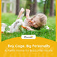 Outdoor rabbit hutch with PawHut branding; rabbit on grass