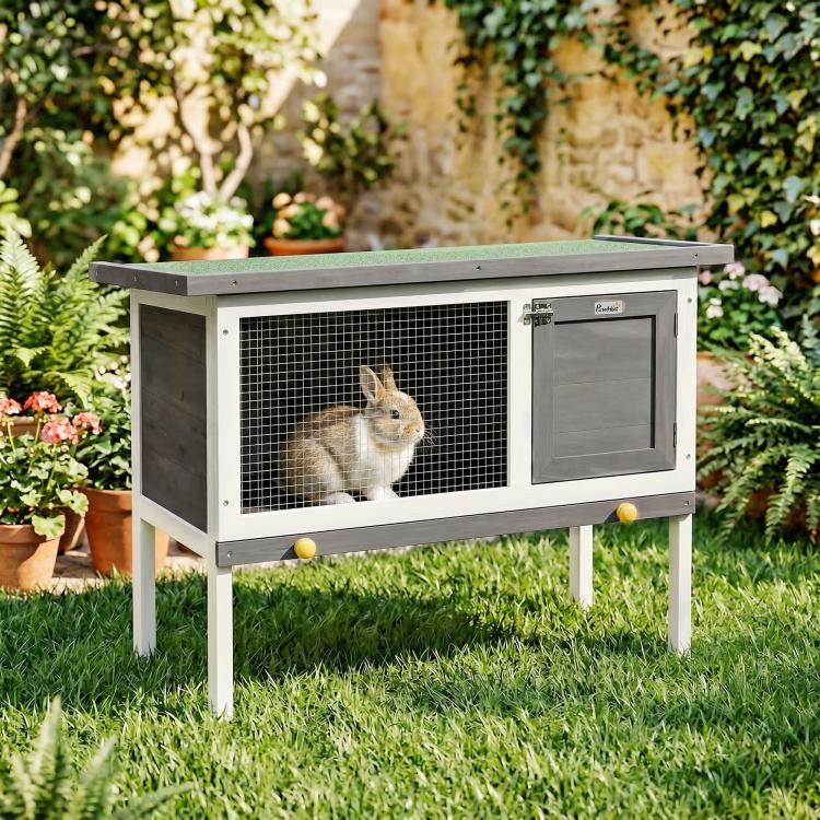 Outdoor elevated rabbit hutch with wire-mesh panel, dark door, and bunny inside