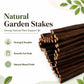 Bundle of dark brown natural wooden stakes for building a teepee plant support