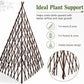 Dark brown teepee trellis with dense lattice and pointed top for climbing plants