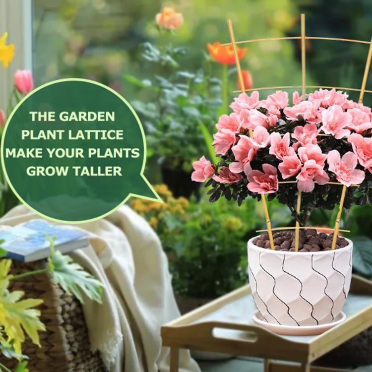 Bamboo plant support trellis inserted in potted flowering plant, arched curved rails