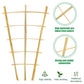 Bamboo trellis with cross ties and strong, stable joint connectors for climbing