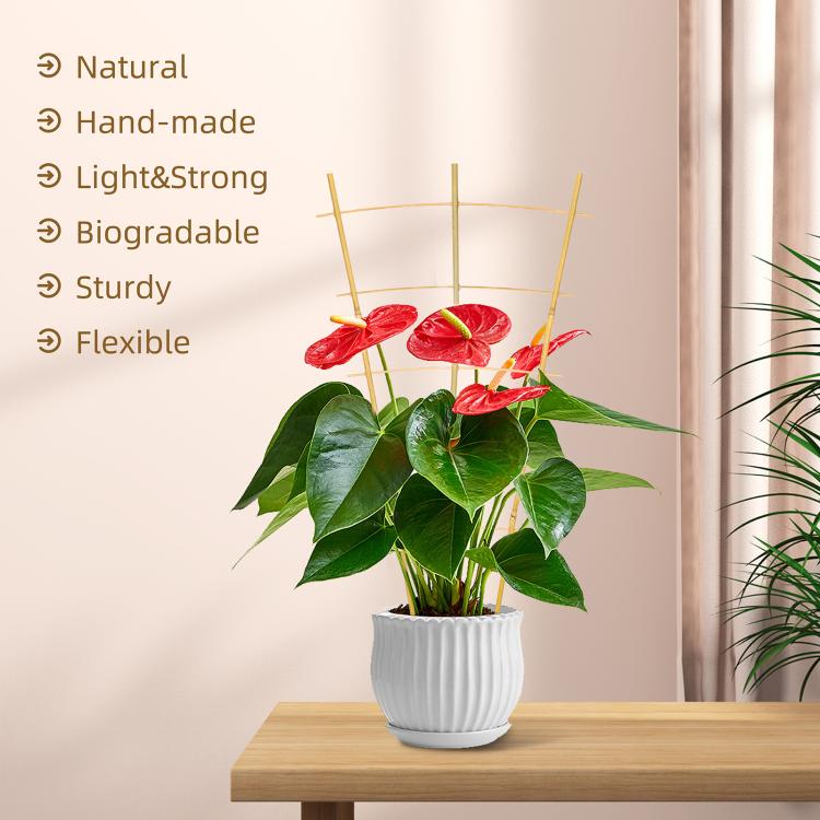 Natural bamboo trellis with arched climbing frame beside a potted plant on a table