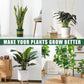 Bamboo climbing trellis used with multiple potted plants, curved arched frame