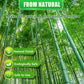 Natural bamboo poles, green stalks with smooth vertical ridges
