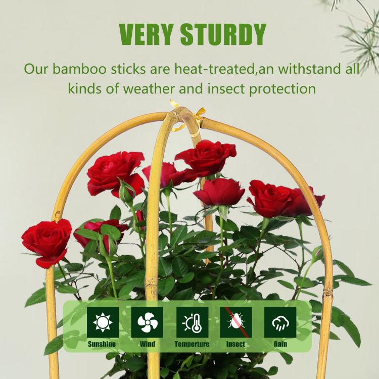Natural bamboo U-hoop trellis holding red roses and green stems