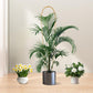 Natural bamboo U-hoop plant trellis in a large pot with palm-like foliage