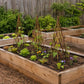 Wood teepee plant trellises in raised garden beds supporting climbing plants