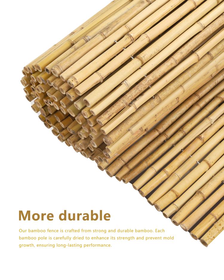 Rolled bundle of natural bamboo fence poles with tied edges