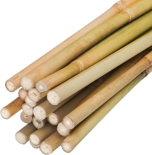 Natural bamboo plant stakes bundle, cut ends showing smooth light tan poles