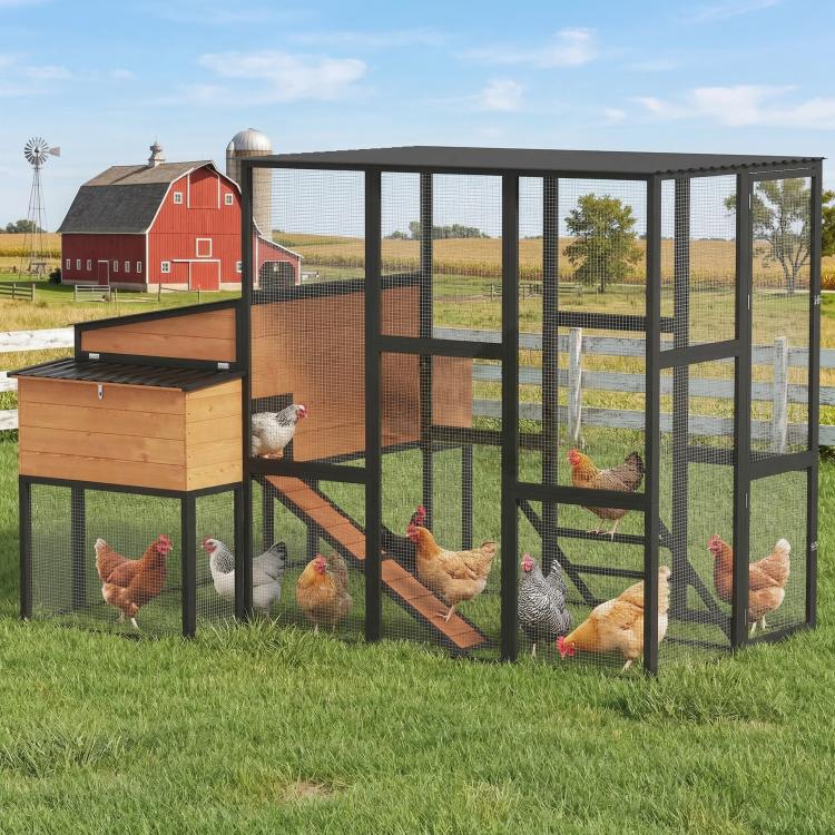 Large chicken coop with fenced run, wooden nesting area, and mesh panels