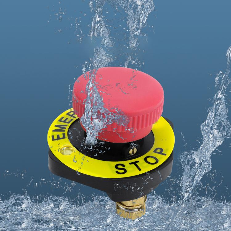 CAR4721_5.jpg@3d8fef648a28718a703ed5a83f9c049a