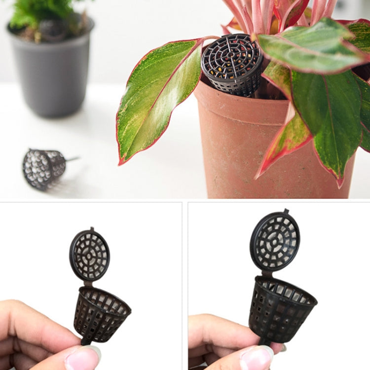 CMS1740_2.jpg@8a43692201e01b6ae936f9b2fd46d388