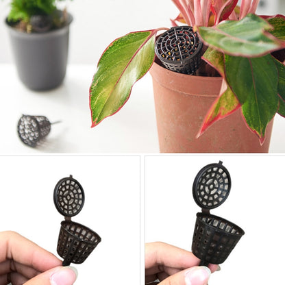 CMS1741_2.jpg@8a43692201e01b6ae936f9b2fd46d388