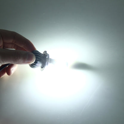 CMS3265_5.jpg@5a3bf555e6cf95c8bc7793913863d0e0