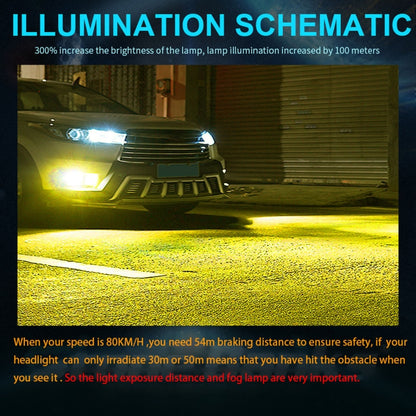 CRP0442YL_12.jpg@6cfd0f7a7ebf0b47f1908e4167aa1be4