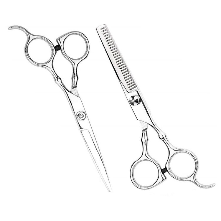 Professional hair cutting and thinning scissors set, two stainless steel shears