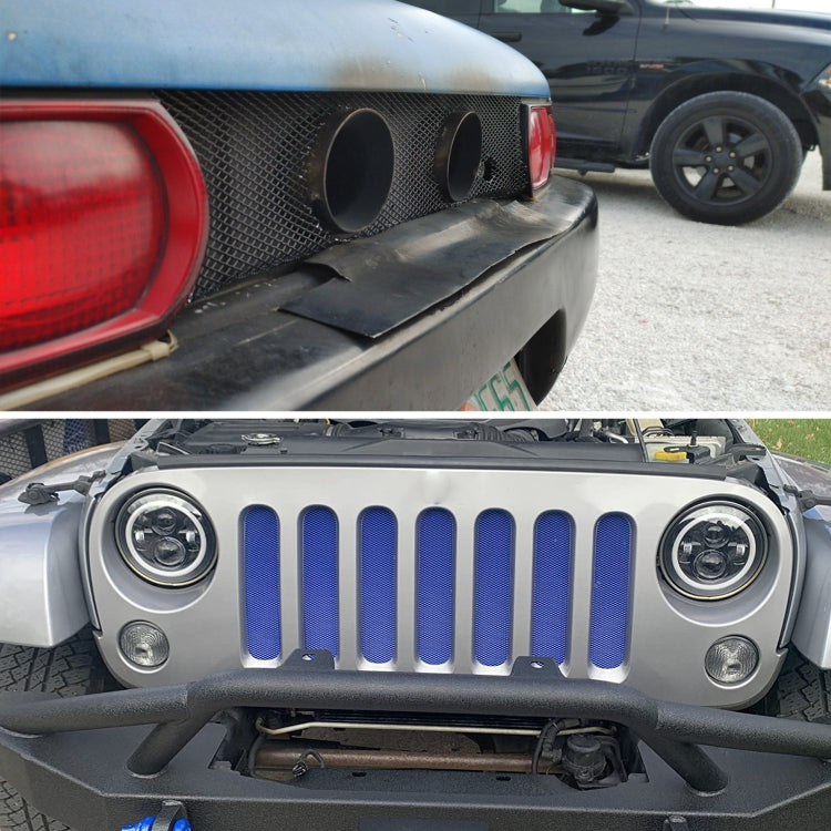 Black mesh grille insert with two large round cutout holes on bumper