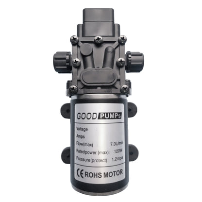 EDA00505701_1.jpg@026db3961adaaeee8142c1cecadceeb0