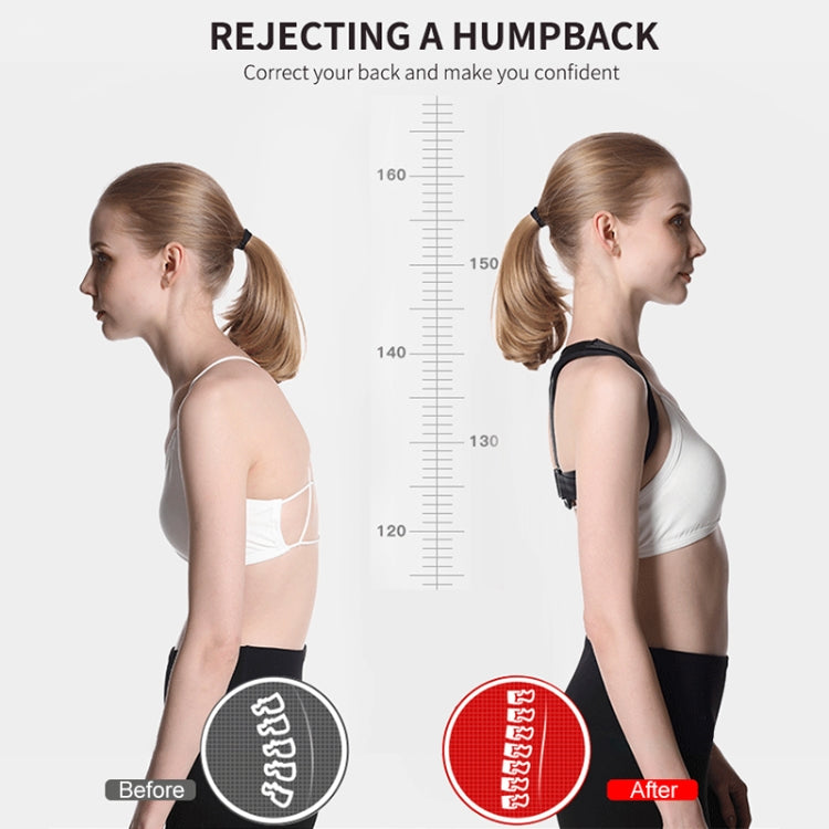 Posture correction belt before-and-after infographic showing brace on a model