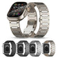 Titanium watch band with oval links, butterfly clasp, and four color options