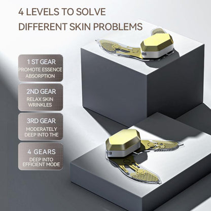 EDA007790201A_5.jpg@711155fafa5e8a747efdc7aae97cf239