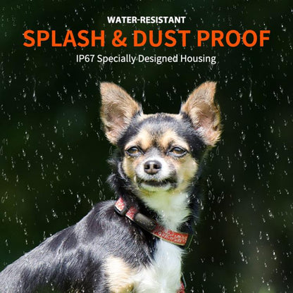 EDA007886401A_3.jpg@174f7e1b6ce265818f0af9f1d8120ba9