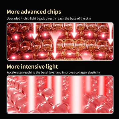 EDA0080453_B4.jpg@86105e3f8697f0b909d226608885284e