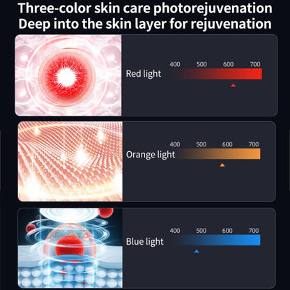 EDA008047101A_4.jpg@555100a199a14aa75b26aa6d2de240be