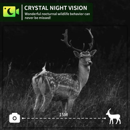 EDA008070501A_6.jpg@4a9c60678db3d534fa8747f004608685