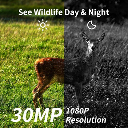 EDA0080715_4.jpg@2a326ee883c9d9c19c01bbff8f8ea5b3