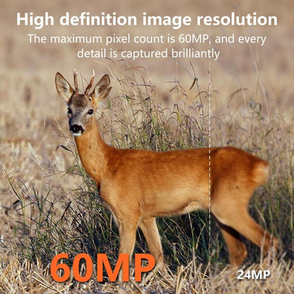 EDA0080726_4.jpg@9113effea045ef4254ff48edc230bd80