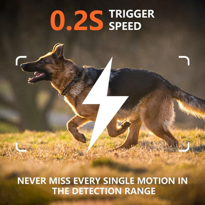 EDA0080726_6.jpg@6fd061ee9300c9eaa23dc84427cfe9a2