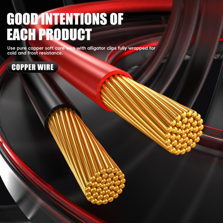 EDA008118402A_15.jpg@e3eb480e2c7c9099c39540d36f421a15