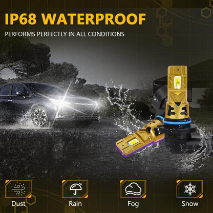 EDA008225402A_3.jpg@9ab67cc83e522c242b408579aa47532a