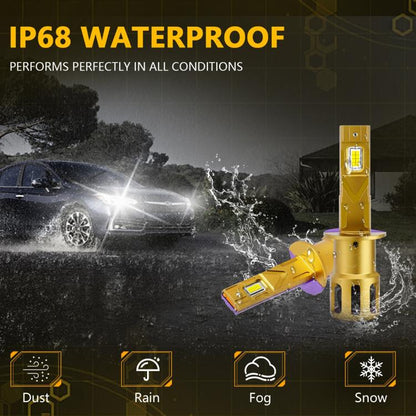 EDA008225403A_3.jpg@361e4cae2954efa97880e26529fe8bb4