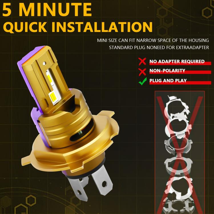 EDA008225404A_6.jpg@fa47b5d4b43fea1de79803ac6d2903ee