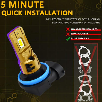 EDA008225406A_6.jpg@a13c0875ebc010961bbc1ad69980099f