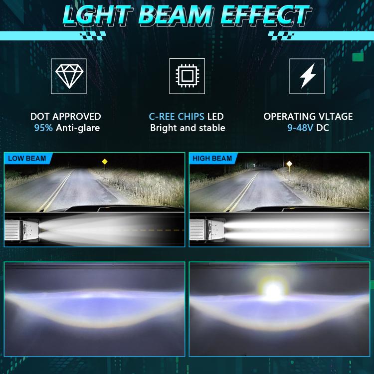 EDA008266501A_6.jpg@5335c7467062780a5d644f933eb25ec6