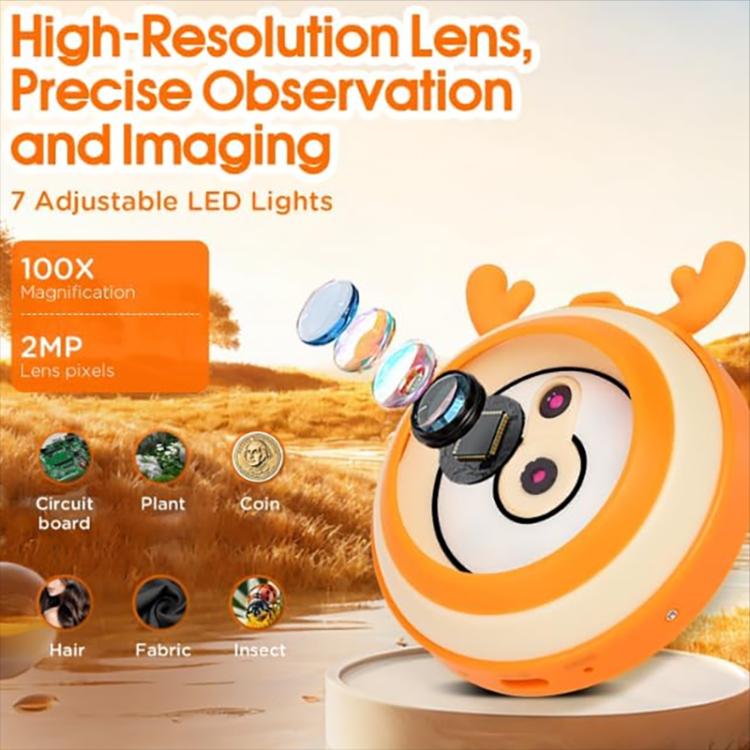 EDA0082990_3.jpg@fb7567e8d8e8367b0a780a07bede0470