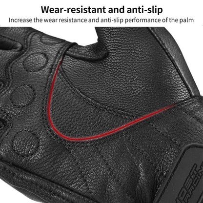 EDA0083012_B4.jpg@a3e25634b8716015870ff5ece47145c5