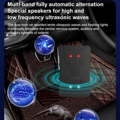 EDA008330201A_3.jpg@ac71f961a42fde0a929e5162a201f531