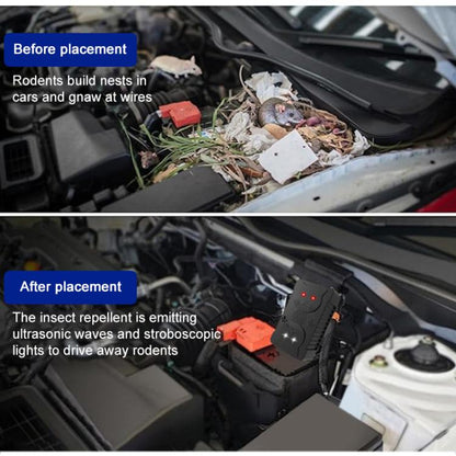 EDA008330201A_6.jpg@cd9ba1e8e48da985a3a58fa32f37a235