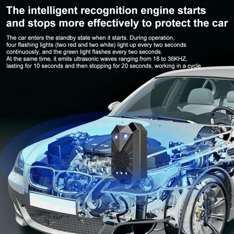 EDA008330501A_4.jpg@a9a97e6f7c3236b392fd6e363178167d