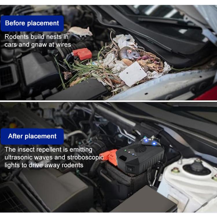 EDA008330501A_7.jpg@51e06e9fe3aac3726b1357889b8c12f8