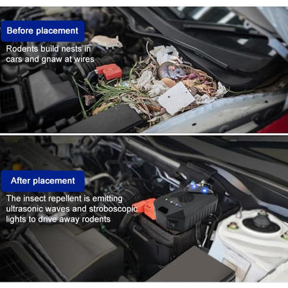 EDA008330501A_7.jpg@51e06e9fe3aac3726b1357889b8c12f8