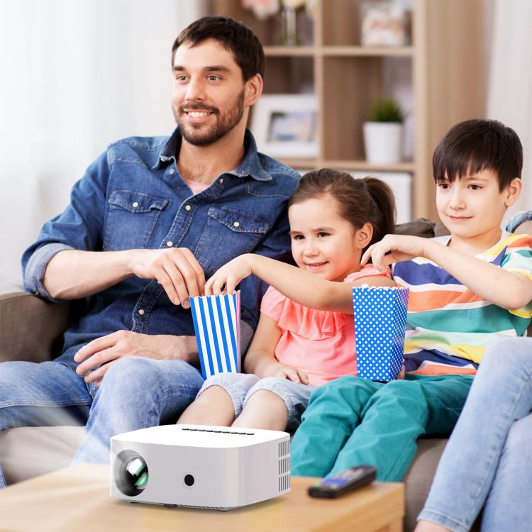 EDA0083327_B8.jpg@485bbc4d698232d12528a13d87dc24c1