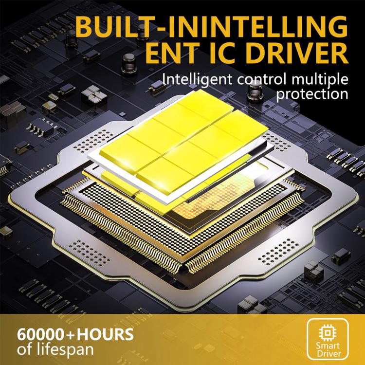 EDA008334602A_2.jpg@74e2f2d76684856dcb6d1dec92c23110